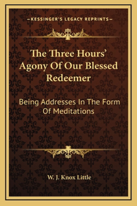 The Three Hours' Agony Of Our Blessed Redeemer