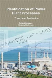 Identification of Power Plant Processes - Theory and Application