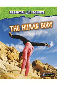 The Human Body