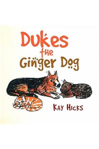 Dukes the Ginger Dog