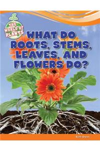 What Do Roots, Stems, Leaves, and Flowers Do?