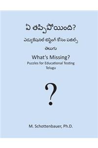 What's Missing? Puzzles for Educational Testing