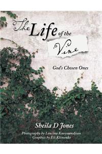 Life of the Vine