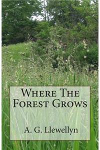 Where The Forest Grows