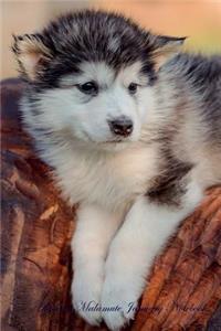 Alaskan Malamute January Notebook Alaskan Malamute Record, Log, Diary, Special Memories, To Do List, Academic Notepad, Scrapbook & More