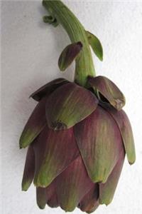 A Single Artichoke Journal