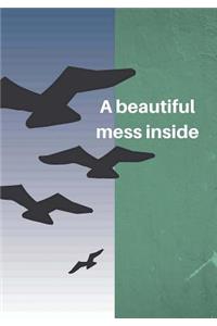 A beautiful mess inside