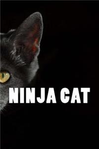 Ninja Cat