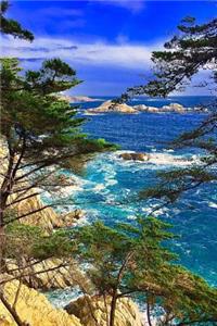 Cliff Side View of the California Coastline Nature Journal