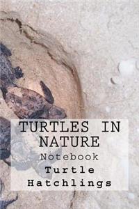 Turtles in Nature Notebook