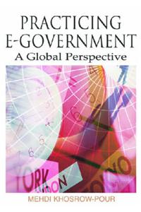 Practicing E-Government