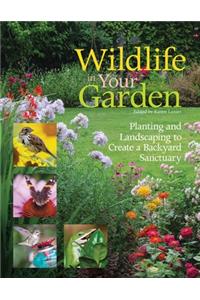 Wildlife in Your Garden