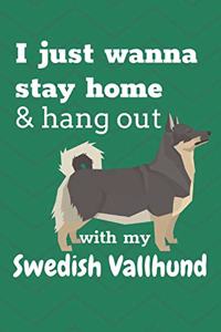 I just wanna stay home & hang out with my Swedish Vallhund