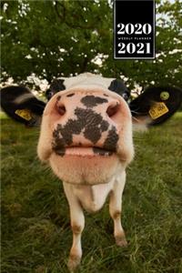 Cow Cattle Farming Farmer Week Planner Weekly Organizer Calendar 2020 / 2021 - Sniff
