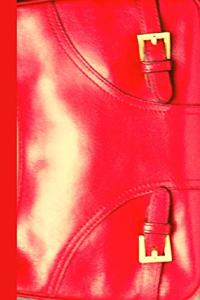 Accessories-Red Purse, a Fashion Journal