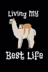 Living My Best Life