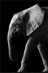 Elephant Lovers 2020 Weekly Monthly Planner