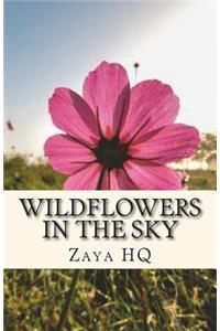 Wildflowers in The Sky