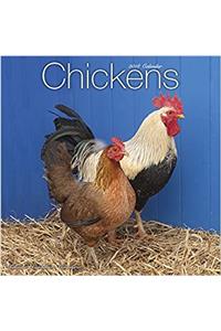 Chickens Calendar 2018
