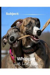 Whippet - Live Love Dogs!