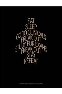 Eat, Sleep, Go to Clinicals, Freak Out, Study for Exams, Freak Out, Slay, Repeat: Composition Notebook: Wide Ruled