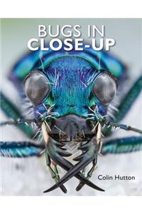 Bugs in Close-Up