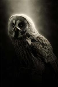 Owl Notebook
