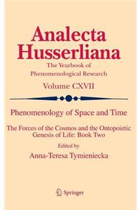 Phenomenology of Space and Time