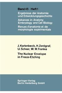 The Nuclear Envelope in Freeze-Etching