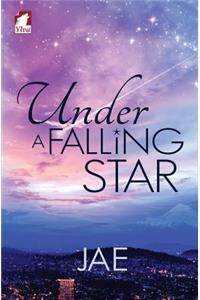 Under a Falling Star