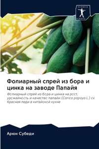 Фолиарный спрей из бора и цинка на заводе П