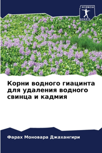 Корни водного гиацинта для удаления водl