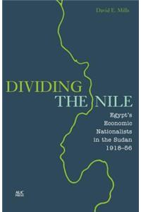 Dividing the Nile