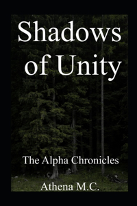 Shadows of Unity