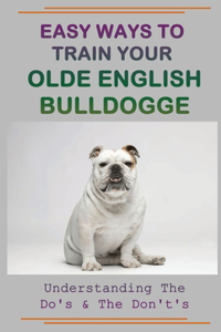 Easy Ways To Train Your Olde English Bulldogge