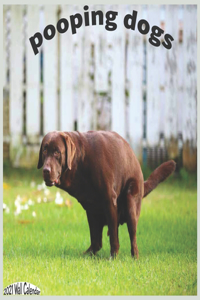 Pooping Dogs 2021 Wall Calendar