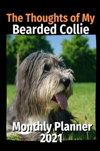 Thoughts of My Bearded Collie