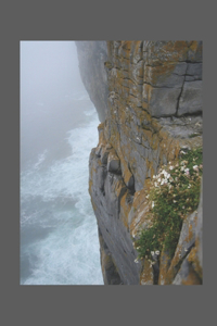 Rockface