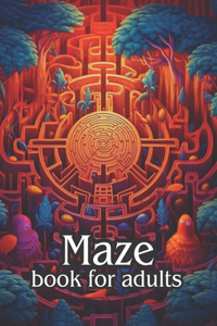 Maze book for adults