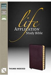 Life Application Study Bible-NASB