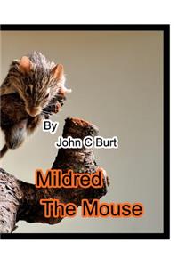 Mildred The Mouse.