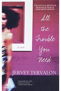 All The Trouble You Need