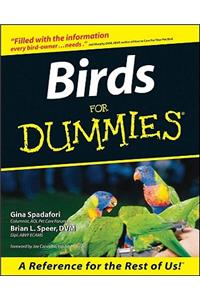 Birds for Dummies