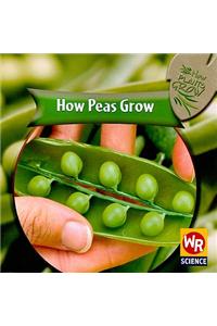 How Peas Grow