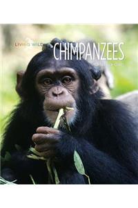 Chimpanzees