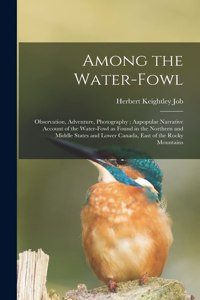 Among the Water-fowl