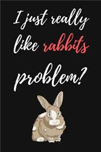 I Just Really Like Rabbits, Problem?