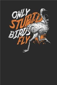 Only Stupid Birds Fly