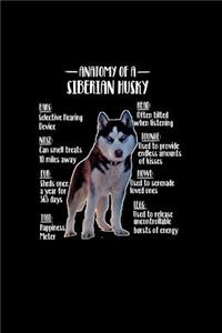 Anatomy of Siberian Husky