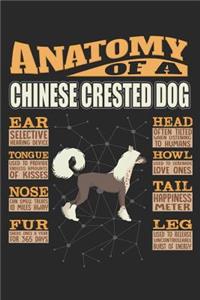Anatomy Of A Chinese Crested Dog